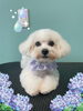 「Dog salon mofu mofu　余市町」