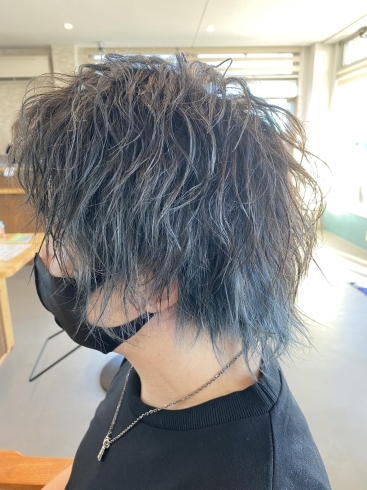 メンズインナーカラーブルーアッシュ Hair Sallon Conquest Deuxのニュース なめがた日和 行方市 メンズインナーカラーブルーアッシュ Hair Sallon Conquest Deuxのニュース なめがた日和 行方市