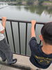 この時期はまだ小さいのでしょうか→「【西葛西の民間学童】６月の芽育kids｜川を眺めて 🌱江戸川区清新町 芽育kids」
