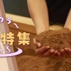 福島市周辺の温活ができるサロンまとめ｜ととのう温活特集