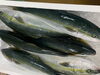 「本日鮮魚入荷いたしました。(7月27日貝🦪フェスティバル決定致しました)」