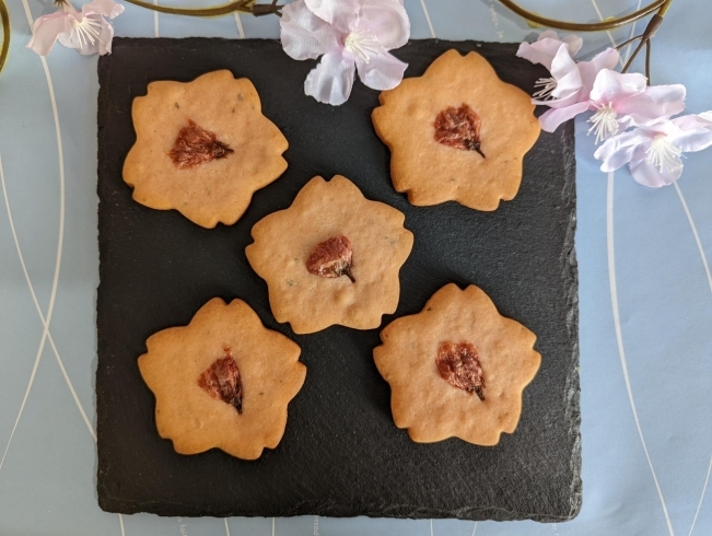 桜のクッキー「さくら🌸」