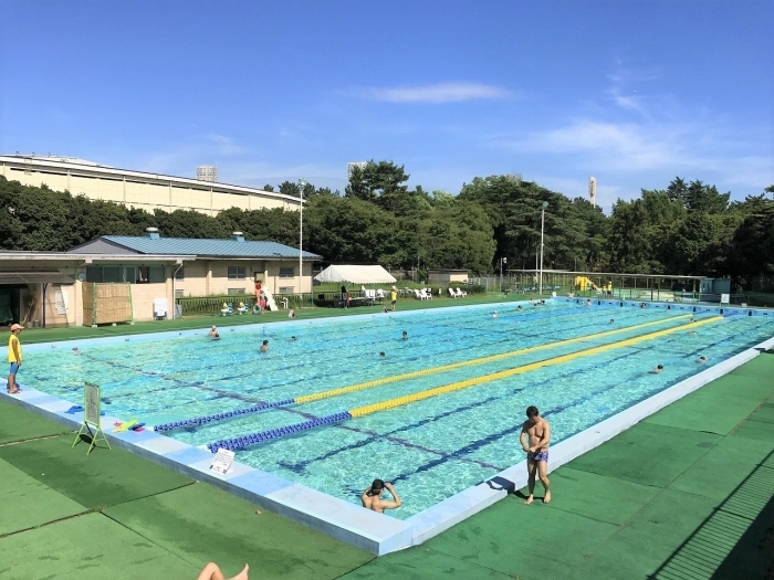 千葉公園スポーツ施設 プール