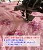 ズレないようにしつけ「絹100％から木綿100％へ 真綿ふとんの側生地交換事例のご紹介」