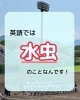 「“アスリートの足”ってなんのこと？」