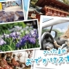 おすすめスポット情報～さいたま市（大宮エリア）～