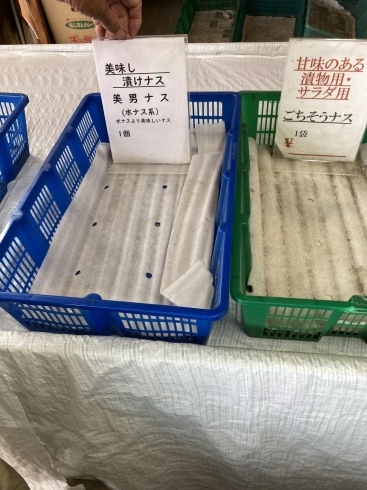 すでに売り切れだった美男なす「新鮮野菜揃いの新菜農産物直売所さん」