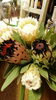 オーストラリアンフラワー プロテア ❗「生花とは思えない‼️ 柔らかくて透明感のあるお花です❤️」