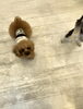 にこくん「おはようございます^o^」