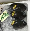「魚魚市場鮮魚コーナーおすすめは「そでイカ」です♪」