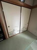 after「【白井市/不用品回収】畳交換、襖交換も株式会社SAJIにご相談ください♪」
