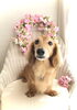 先生くん　♡「はじめまして　^ - ^」
