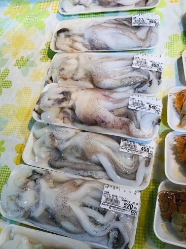「西海物産館 魚魚市場鮮魚コーナーおすすめ商品は「アワビ特売開催中〜！」です♪」