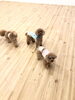 「ましゅまろ幼稚園　^ - ^」