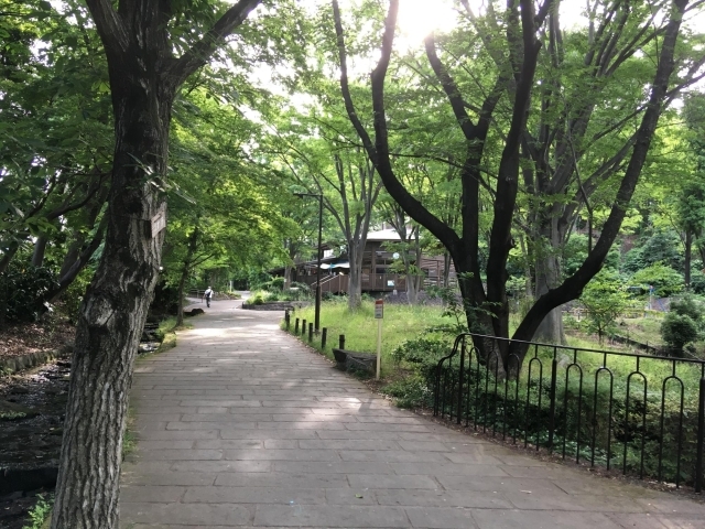 鴨池公園 都筑区の公園と緑道のすべて 南部編 まいぷれ 横浜市都筑区