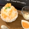 生メロンかき氷