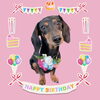 「Dog salon mofu mofu　余市町」