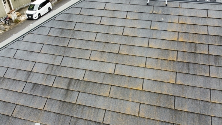 施工前の屋根です。こちらはスレート屋根です。「船橋市T様邸の屋根外壁塗装工事が完了いたしました！～外壁塗装専門店のユウマペイント船橋店～」