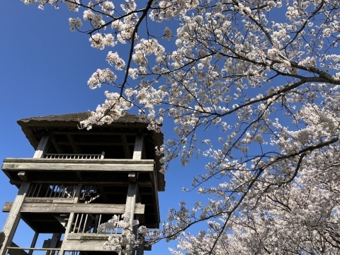 西伯郡伯耆町　伯耆古代の丘公園