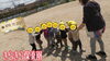 「よーいドン!! 【交野市 小規模保育園】」