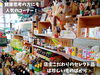 「オーガニック•無添加食品、調味料、海外のお菓子、雑貨など、珍しい商品が揃う、魚沼市の食品雑貨店セキノヤさん。」
