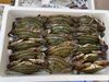 「鮮魚パックいろいろ販売中‼️〆鯖も販売致します🐳」