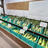 「木曽の高原とうもろこし毎朝入荷します！道の駅木曽福島」