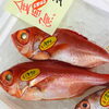 「魚魚市場鮮魚コーナーおすすめは「ノドグロ・あゆ」です♪」
