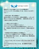 「【大学紹介】関西学院大学都市政策学部って実際どう？白修卒業生に聞きました！vol. 3」