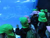海の中ってこんな感じかな？「🦈🐙おもいでいっぱい！大洗水族館の遠足🐡🦑」