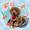 「Dog salon mofu mofu　余市町」