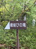 案内看板「縁結び　お客様リクエスト代表して行ってきました」