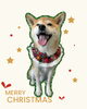 「Dog salon mofu mofu　余市町」