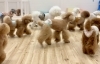 戻りは早歩き　笑「ましゅまろ幼稚園🐾」