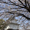 ■桜特集■【大分市・城址公園】