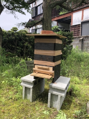 住職手作りの養蜂箱です「大東寺の蜂さん」