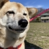 ごはん大好き♪うなちゃん