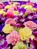 「花手水のお花入れ替わりました！🌸✨」