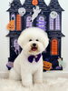 マッシュくん「Happy Halloween 2026🎃」