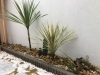 ③「川西市・猪名川町で、ドライガーデン・ロックガーデンの植栽作業はお任せください！」