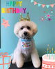 「Dog salon mofu mofu 余市町」
