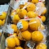 「魚魚市場鮮魚コーナーおすすめ商品は「天然鯛・バーベキュー3点セット」です♪」