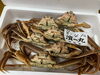 「鮮魚パックいろいろ販売中‼️〆鯖も販売致します🐳」