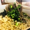 しっかりした味のちょい甘めの出汁が麺によくからむ出雲そば | 特派員が実食レポート！ 出雲・雲南のおすすめランチ♪| まいぷれ[出雲]
