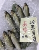 「魚魚市場鮮魚コーナーおすすめは「エビスダイ・岐阜県産あゆ」です♪」