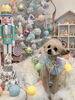 祥太郎くん「MerryXmas🎄」