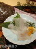 「舞鶴の海の恵みを、まるごと味わいつくす！🐟✨」
