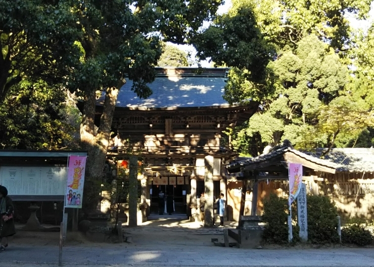 櫻井神社（さくらいじんじゃ）
