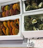 「魚魚市場鮮魚コーナーおすすめは「イシガキダイ・有頭エビ」です♪」