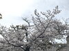 「ご出棺の道のり」
